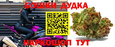 прущие грибы Мариинск