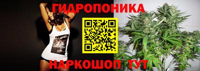 гашик Малоярославец
