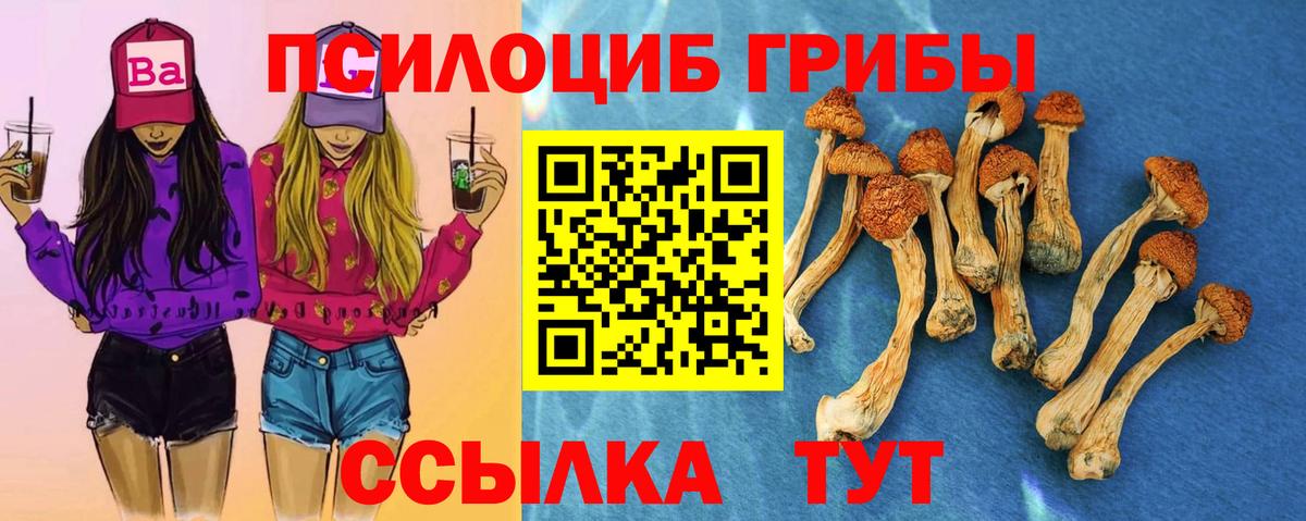 Галлюциногенные грибы мицелий Ефремов
