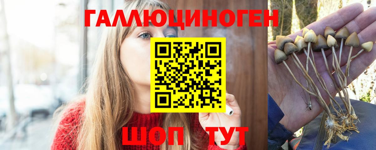 Ефремов  купить наркотик  Вход с VPN  Галлюциногенные грибы Cubensis 